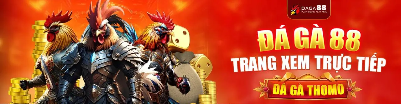 Chiến thuật cá cược thể thao hiệu quả tại xxx88