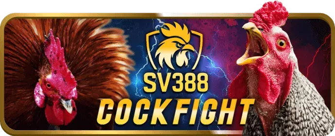 xxx88 Cam kết mang đến trải nghiệm cá cược an toàn và công bằng